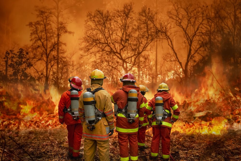 The Health Effects of Wildfire Smoke